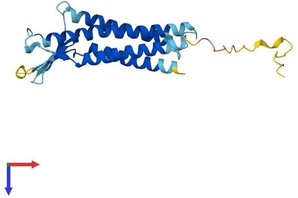Claudin 5 Protein (CLDN5) (AA 1-218) (His tag)