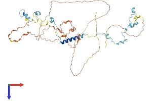SPAG8 Protein (AA 1-470) (His tag)
