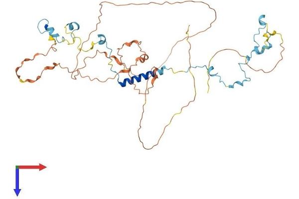 SPAG8 Protein (AA 1-470) (His tag)