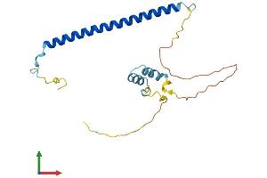 Protein Structure (PS) image for Coiled-Coil Domain Containing 53 (CCDC53) (AA 1-194) protein (His tag) (ABIN7552978)