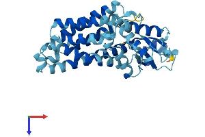 SFXN3 Protein (AA 1-321) (His tag)