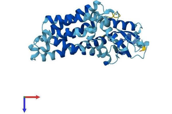 SFXN3 Protein (AA 1-321) (His tag)