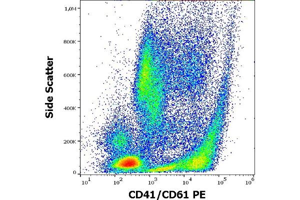 CD41, CD61 Antikörper  (PE)