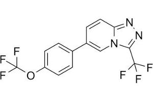 Molecular structure of ABIN7885811. (GS967)