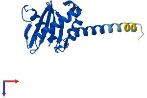 AP1S2 Protein (AA 1-160) (His tag)