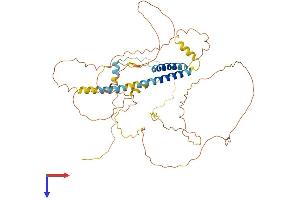 TMEM200A Protein (AA 1-491) (His tag)