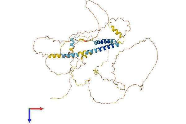 TMEM200A Protein (AA 1-491) (His tag)