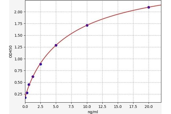 ACTG2 ELISA Kit