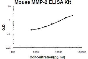Mouse MMP-2 Accusignal ELISA Kit Mouse MMP-2 AccuSignal ELISA Kit standard curve. (MMP2 ELISA Kit)
