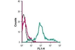 Flow Cytometry (FACS) image for anti-Coagulation Factor II (Thrombin) Receptor-Like 3 (F2RL3) (AA 136-150), (C149S), (Extracellular) antibody (FITC) (ABIN7043078)
