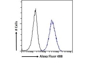 (ABIN184799) Flow cytometric analysis of paraformaldehyde fixed A431 cells (blue line), permeabilized with 0. (ARL2 Antikörper  (C-Term))
