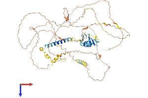 PJA1 Protein (AA 1-643) (His tag)
