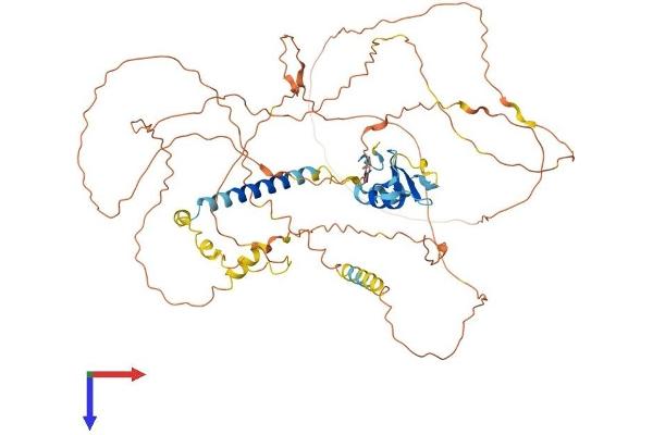 PJA1 Protein (AA 1-643) (His tag)