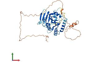 AlphaFold protein structure predicition of Mouse Recombinant Apobec4 Protein, UniprotID Q497M3