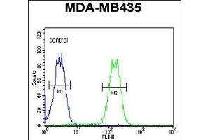 LYRM4 Antibody (Center) (ABIN654638 and ABIN2844335) flow cytometric analysis of MDA-M cells (right histogram) compared to a negative control cell (left histogram).