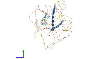 Protein Structure (PS) image for Retinoblastoma Binding Protein 8 (RBBP8) (AA 1-897) protein (His tag) (ABIN7553536)