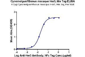 ELISA image for Receptor Tyrosine-Protein Kinase ErbB-3 (ERBB3) (AA 20-641) protein (His tag) (ABIN7274795)