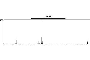 ChIP DNA-Sequencing (ChIP-seq) image for anti-Endothelial PAS Domain Protein 1 (EPAS1) (AA 400-450) antibody (ABIN7454018)