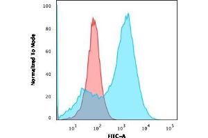 Flow Cytometric Analysis of A549 cells using S100A4 Mouse Monoclonal Antibody (S100A4/1481) followed by goat anti-Mouse IgG-CF488 (Blue); Isotype Control (Red). (s100a4 Antikörper  (AA 1-200))