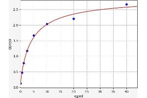 Calnexin ELISA Kit