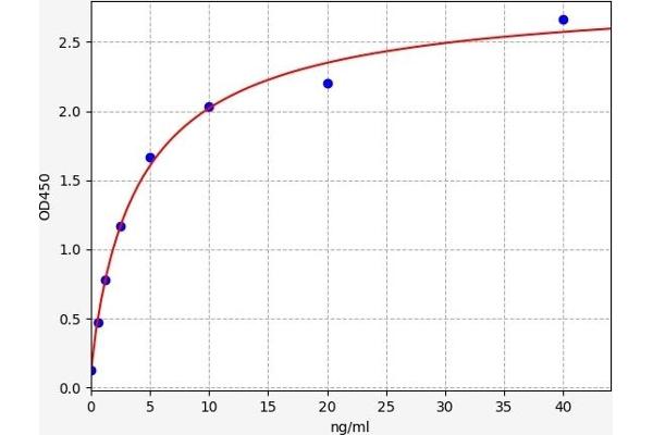 Calnexin ELISA Kit