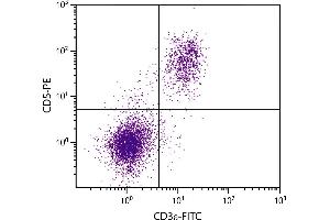C57BL/6 mouse splenocytes were stained with Rat Anti-Mouse CD5-PE. (CD5 Antikörper  (PE))