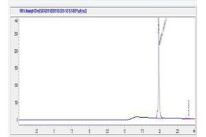 Image no. 1 for Synaptophysin (SYP) (AA 255-290) peptide (Ovalbumin) (ABIN5666379)