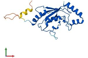 Protein Structure (PS) image for Ubiquitin-Conjugating Enzyme E2F (UBE2F) (AA 1-185) protein (His tag) (ABIN7560743)