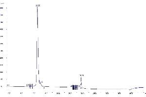 Purification via Ion Exchange Chromatography (Step 1) (TAMRA Antikörper)
