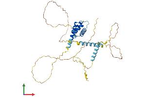 Protein Structure (PS) image for Mohawk Homeobox (MKX) (AA 1-353) protein (His tag) (ABIN7558672)