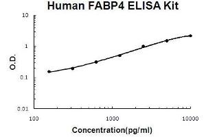 Human FABP4 PicoKine ELISA Kit standard curve