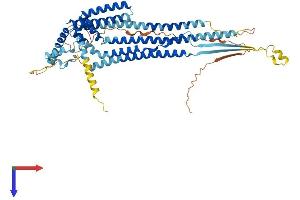OCSTAMP Protein (AA 1-566) (His tag)