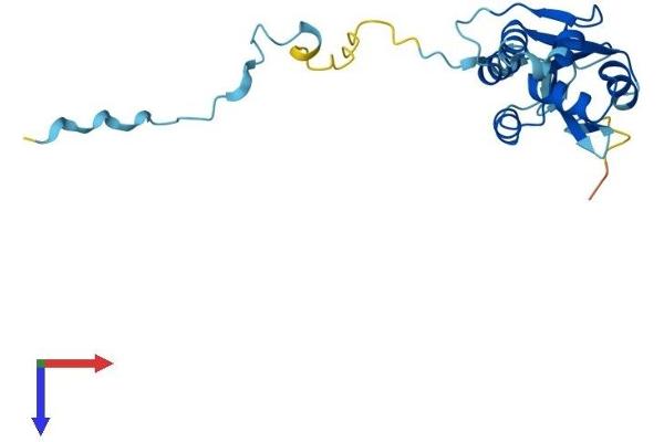 FCF1 Protein (AA 1-198) (His tag)