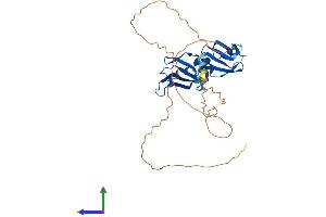 Protein Structure (PS) image for Heterogeneous Nuclear Ribonucleoprotein A2/B1 (HNRNPA2B1) (AA 1-353) protein (His tag) (ABIN7562631)
