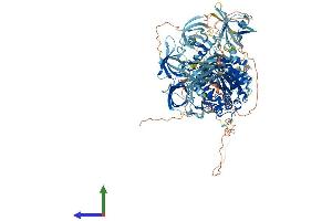 Protein Structure (PS) image for Mov10l1, Moloney Leukemia Virus 10-Like 1 (MOV10L1) (AA 1-1211) protein (His tag) (ABIN7554455)