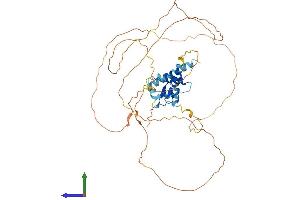 Protein Structure (PS) image for Integrator Complex Subunit 12 (INTS12) (AA 1-461) protein (His tag) (ABIN7560869)