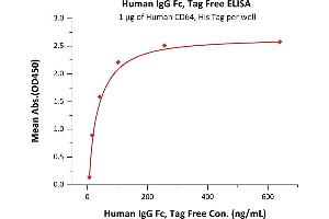 Immobilized Human CD64, His Tag  at 10 μg/mL (100 μL/well) can bind Human IgG Fc, Tag Free (ABIN2181271,ABIN2181270) with a linear range of 7-41 ng/mL (QC tested). (HEK-293 Cells IgG1 Isotyp-Kontrolle)