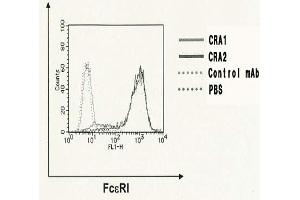 Flow Cytometry (FACS) image for anti-Fc Fragment of IgE Receptor Ia (FCER1A) antibody (Biotin) (ABIN2451977) (Fc epsilon RI/FCER1A Antikörper  (Biotin))