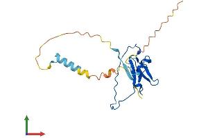 AlphaFold protein structure predicition of Human Recombinant POMZP3 Protein, UniprotID Q6PJE2