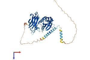 SYT2 Protein (AA 1-419) (His tag)