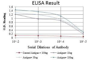 ELISA image for anti-IL2-Inducible T-Cell Kinase (ITK) antibody (ABIN969222)