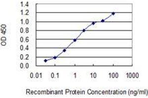 Detection limit for recombinant GST tagged CCNJL is 0. (CCNJL Antikörper  (AA 1-121))