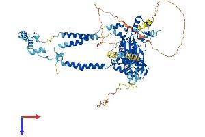 SEC63 Protein (AA 1-760) (His tag)