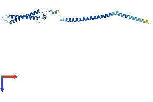 MIS12 Protein (AA 1-206) (His tag)