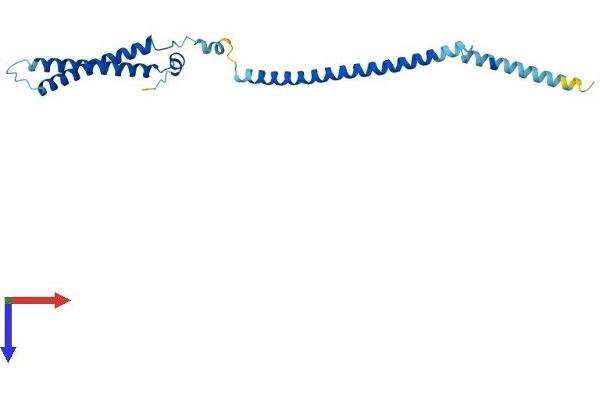 MIS12 Protein (AA 1-206) (His tag)