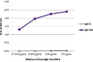 ELISA plate was coated with serially diluted Goat IgG Fab-UNLB and quantified. (Ziege IgG Isotyp-Kontrolle)