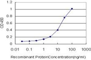Detection limit for recombinant GST tagged UGT2B10 is approximately 0. (UGT2B10 Antikörper  (AA 62-159))