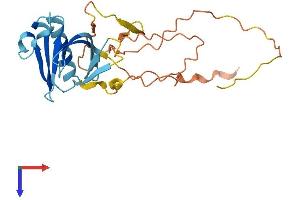 PLEKHB1 Protein (AA 1-243) (His tag)