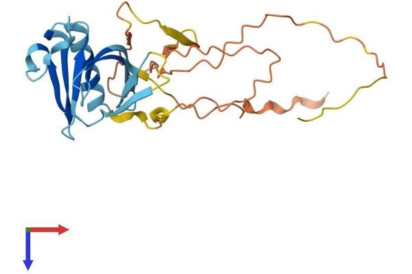 PLEKHB1 Protein (AA 1-243) (His tag)