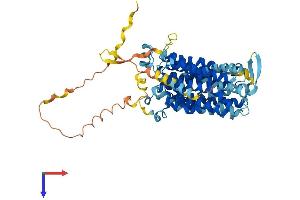 SLC17A7 Protein (AA 1-560) (His tag)
